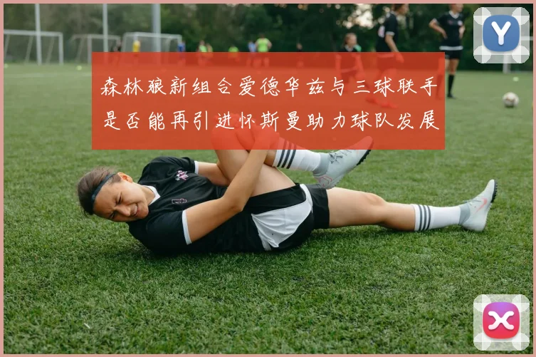 森林狼新组合爱德华兹与三球联手是否能再引进怀斯曼助力球队发展
