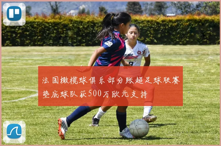 法国橄榄球俱乐部分账超足球联赛垫底球队获500万欧元支持