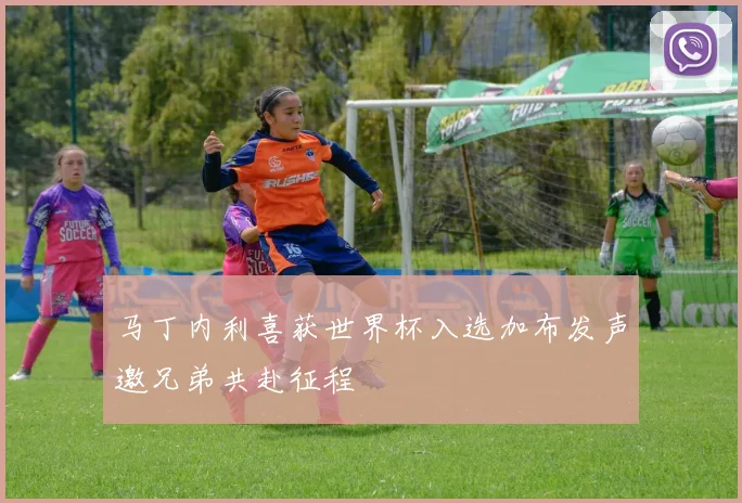 马丁内利喜获世界杯入选加布发声邀兄弟共赴征程